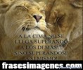 /album/fotogaleria/a-la-cima-no-se-llega-superando-a-los-demas-sino-superandose-a-si-mismo-jpg/